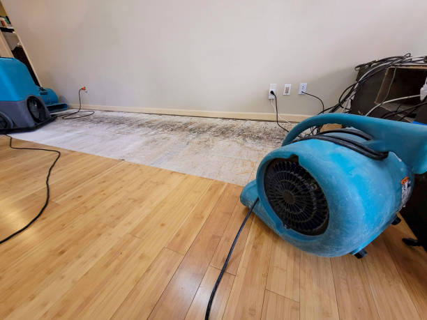 Professional Water Damage Repair technician working in University, FL